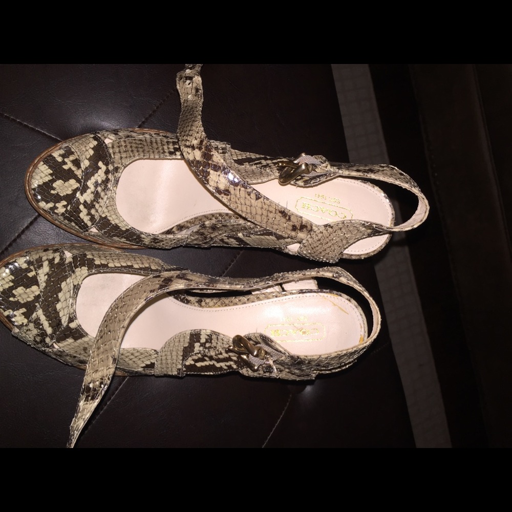 Women's Coach Snake Skin Heel